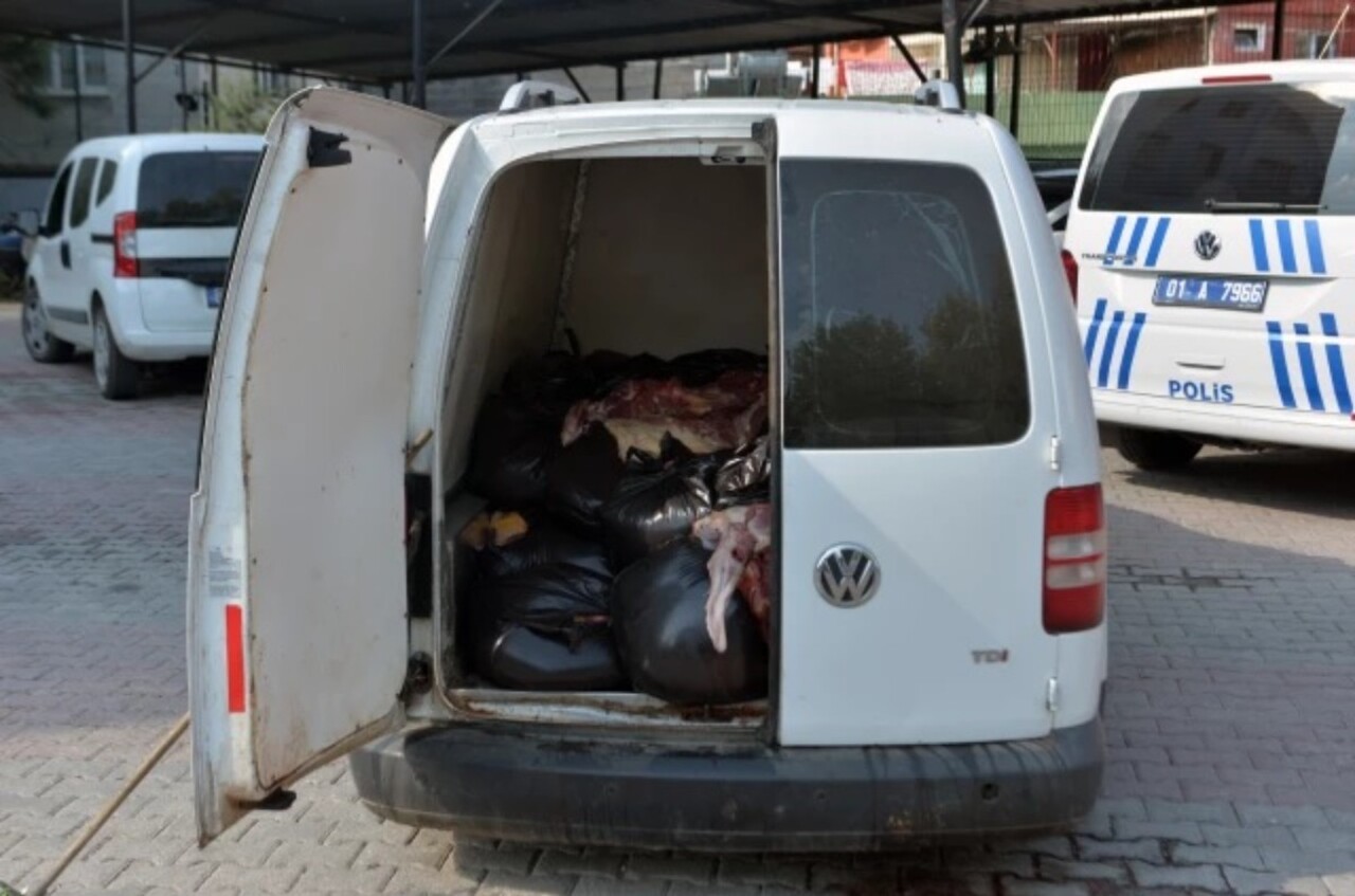 Adana'da 1.5 ton at ve eşek eti yakalandı
