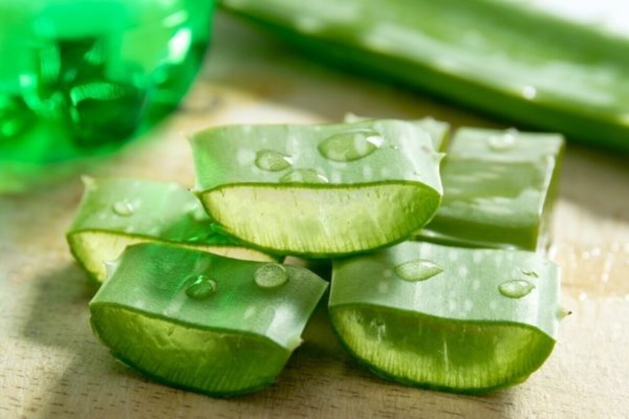 Aloe vera jelinin faydaları neler