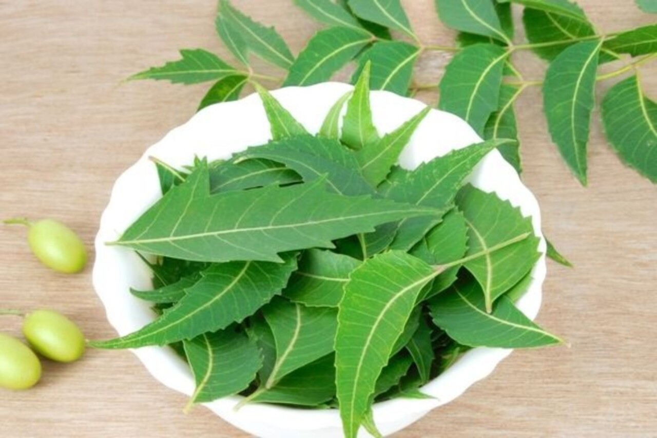 Altın değerindeki baharat karaciğer yağlanmasını bitiriyor