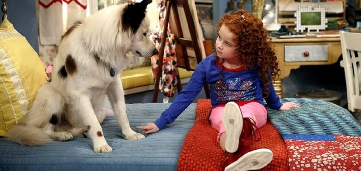 Evde köpekle yaşayan çocuklar daha disiplindi ve paylaşımcı oluyor