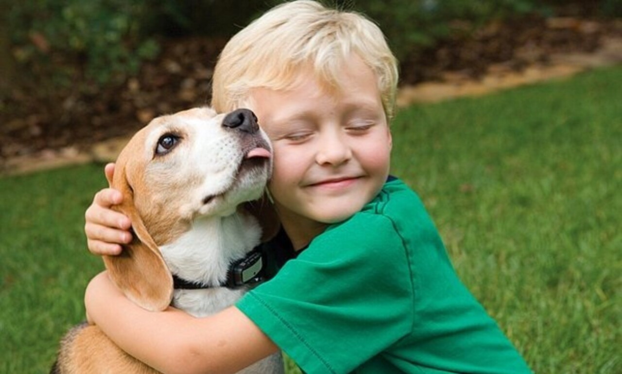 Evde köpekle yaşayan çocuklar daha disiplindi ve paylaşımcı oluyor