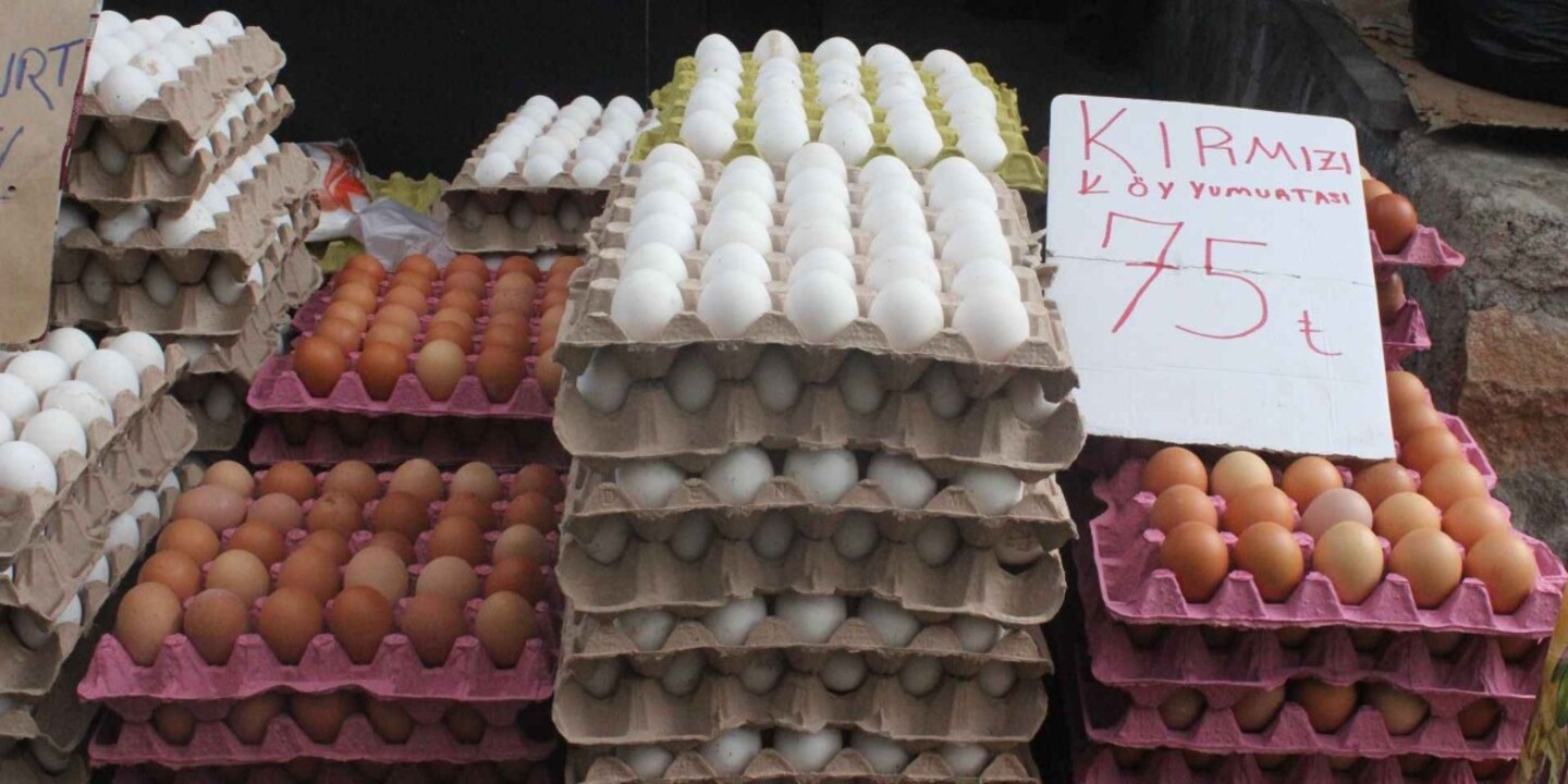 yumurta fiyatlarına zam